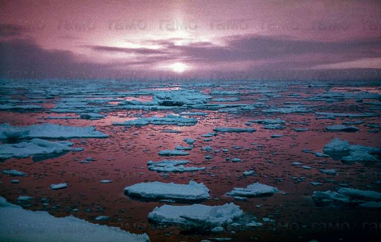«Закат». Северный Ледовитый океан. ГАМО. Ф. Р-1272. Оп. 9. Д. 88.