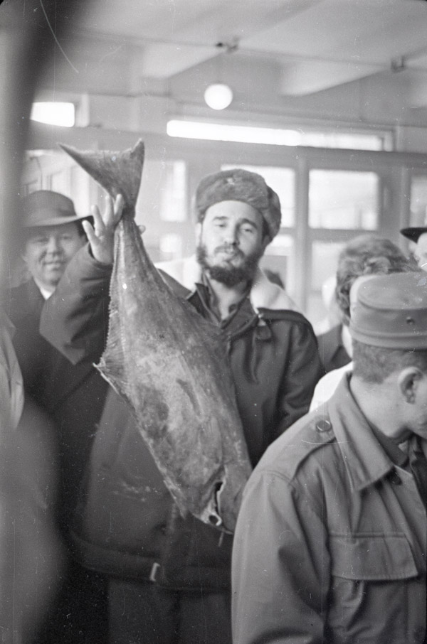 На Мурманском рыбокомбинате Ф. Кастро получил в подарок большого копченого палтуса 27 апреля 1963 г